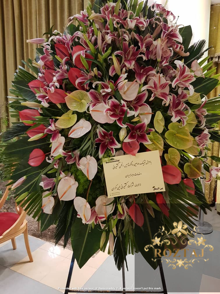 استرزیا انتریم با برگ پایزی