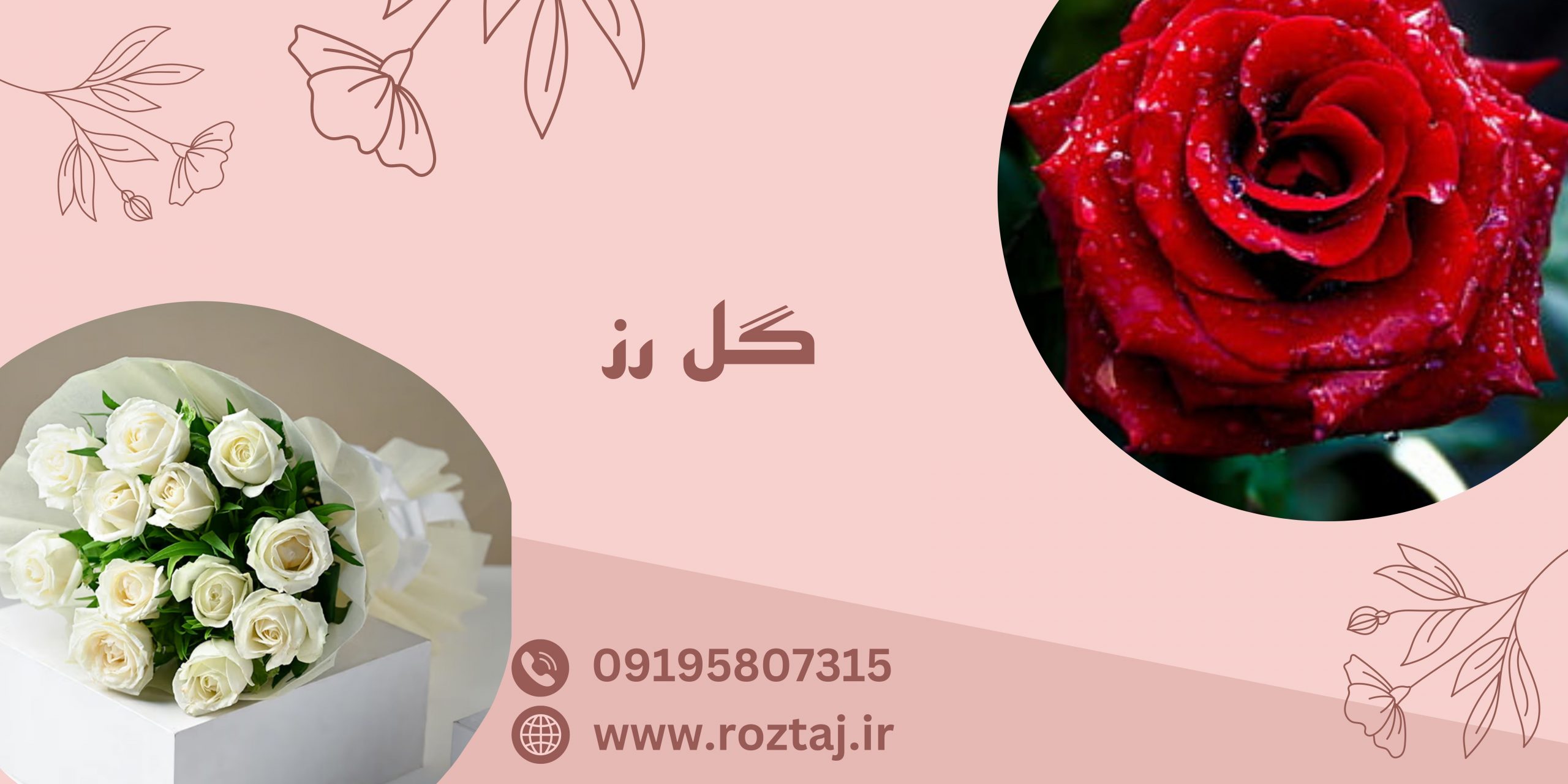 گل رز - رزتاج