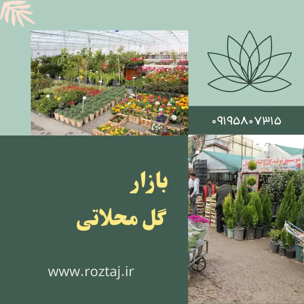 خرید از بازار گل محلاتی